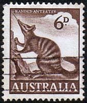 Australia 1959 SG 316 Animal Numbat Fine Used