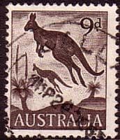 Australia 1959 SG 318 Animal Eastern Grey Kangaroo Fine Used