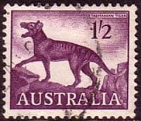 Australia 1959 SG 321 Animal Tasmainian Tiger Fine Used