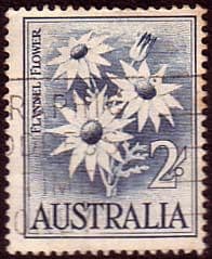 Australia 1959 SG 323 Flowers Flannel Flower Fine Used