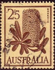 Australia 1959 SG 325 Flowers Banksia Fine Used