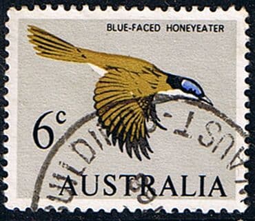 Australia 1966 SG 387 Blue Faced Honeyeater Bird Fine Used