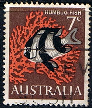 Australia 1966 SG 388 Humbug Fish SG 388 Fine Used