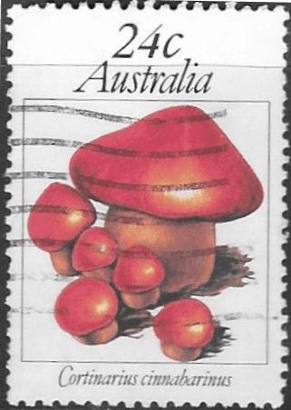 Australia 1981 Australian Fungi SG 823 Fine Used