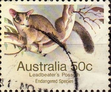 Australia 1981 Leadbeater's Possum SG 796 Fine Used