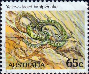 Australia 1981 Yellow-faced Whip Snake SG 799 Fine Used