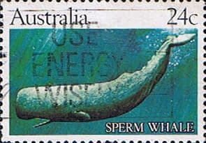 Australia 1982 Whales SG 838 Fine Used