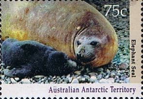 Australian Antarctic Territory 1992 Wildlife SG 91 Fine Mint