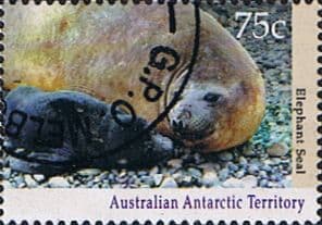 Australian Antarctic Territory 1992 Wildlife SG 91 Fine Used