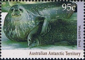 Australian Antarctic Territory 1992 Wildlife SG 93 Fine Mint