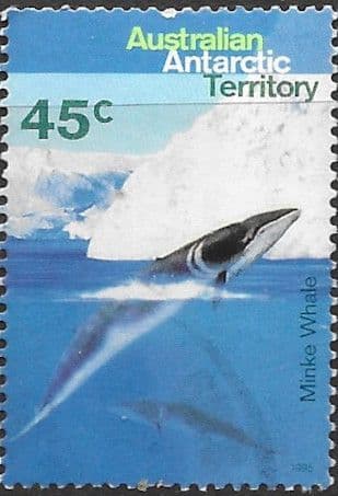 Australian Antarctic Territory 1995 Whales and Dolphins SG 110 Fine Used
