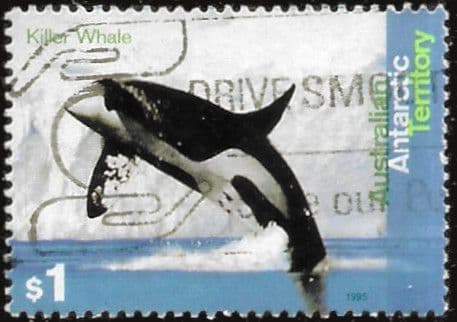 Australian Antarctic Territory 1995 Whales and Dolphins SG 111 Fine Used