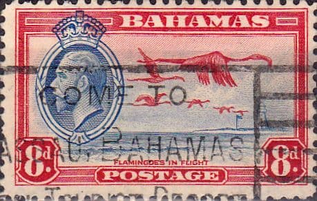 Bahamas 1935 Greater Flamingo SG 145 Fine Used