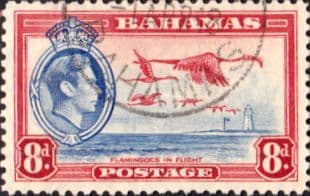 Bahamas 1938 George VI Flamingoes in Flight SG 160 Fine Used