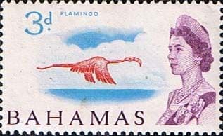 Bahamas 1965 SG 251 Greater Flamingo Fine Mint