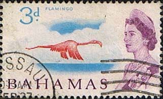 Bahamas 1965 SG 251 Greater Flamingo Fine Used