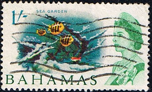 Bahamas 1965 SG 256 Sea Garden Fine Used