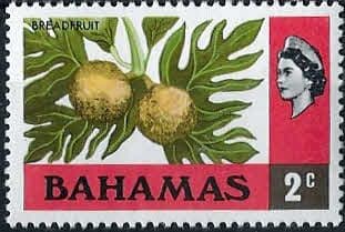Bahamas 1971 Breadfruit SG 360 Fine Mint