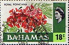 Bahamas 1971 Royal Poinciana SG 371 Fine Used