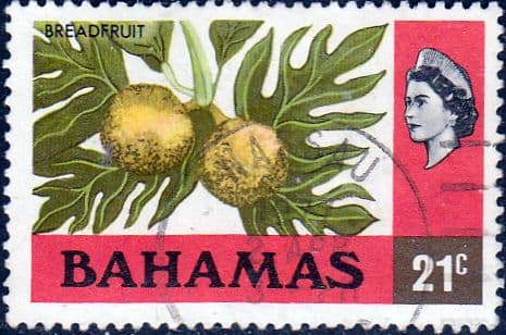 Bahamas 1976 Breadfruit SG 467 Fine Used