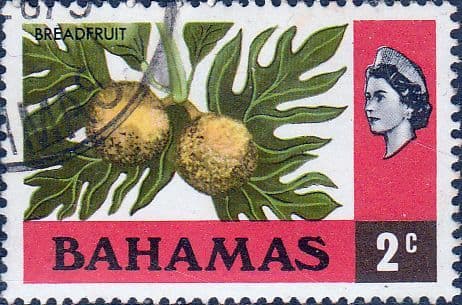 Bahamas 1976 Hibiscus SG 461 Fine Used