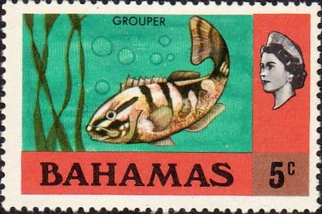 Bahamas 1976 Hibiscus SG 464 Fine Mint