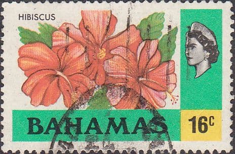 Bahamas 1976 Hibiscus SG 466 Fine Used