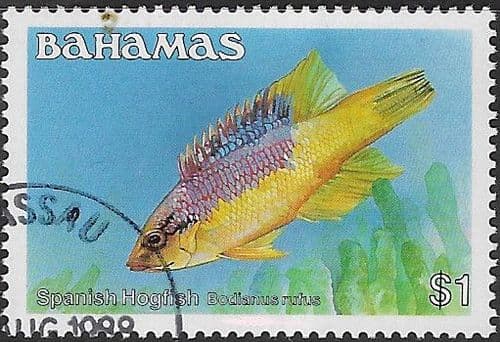 Bahamas 1986 Fish Spanish Hogfish SG 769A Fine Used