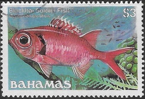 Bahamas 1986 Fish Spanish Hogfish SG 771A Fine Used