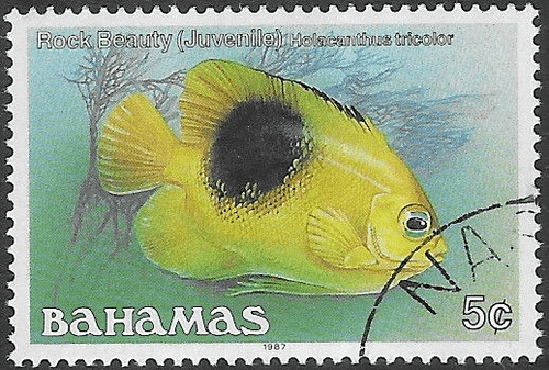 Bahamas 1986 Fish Stoplight Parrotfish SG 758B Fine Used