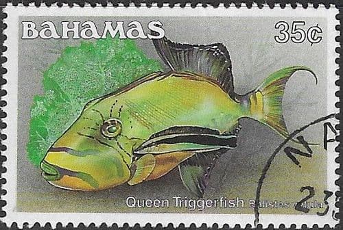 Bahamas 1986 Fish Stoplight Parrotfish SG 764A Fine Used