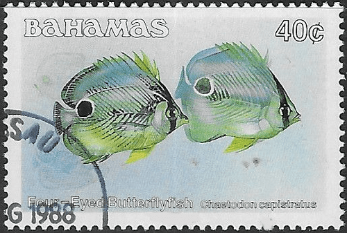 Bahamas 1986 Fish Stoplight Parrotfish SG 765A Fine Used