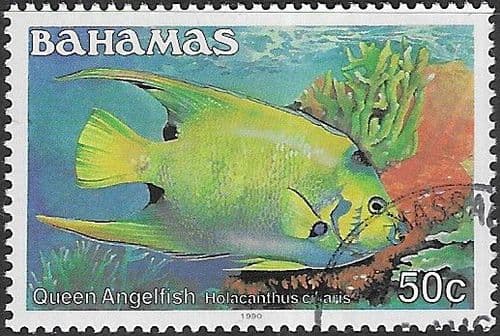 Bahamas 1986 Fish Stoplight Parrotfish SG 767B Fine Used