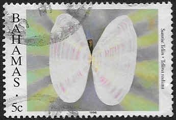 Bahamas 1996 Shells SG 1058 Fine Used