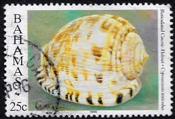 Bahamas 1996 Shells SG 1062 Fine Used