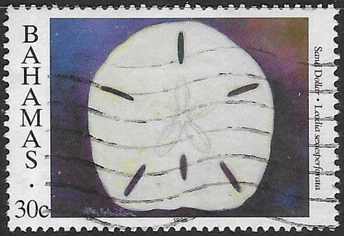 Bahamas 1996 Shells SG 1063 Fine Used