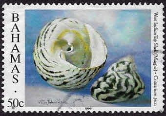 Bahamas 1996 Shells SG 1066 Fine Used