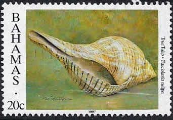 Bahamas 1997 Shells SG 1101 Fine Used