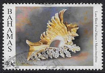 Bahamas 1997 Shells SG 1104 Fine Used