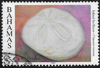 Bahamas 1997 Shells SG 1105 Fine Used