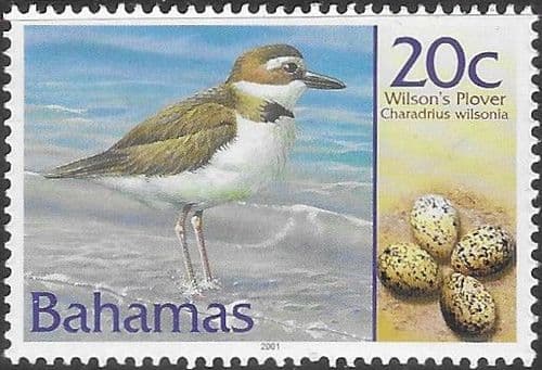 Bahamas 2001 Birds and their Eggs SG 1252 Fine Mint