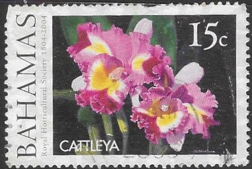 Bahamas 2004 Bicentenary of the Royal Horticultural Society SG 1347 Fine Used