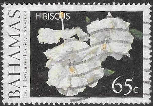 Bahamas 2004 Bicentenary of the Royal Horticultural Society SG 1348 Fine Used