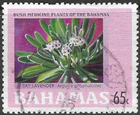 Bahamas 2005 Medicinal Plants (4th series) SG 1375 Fine Used