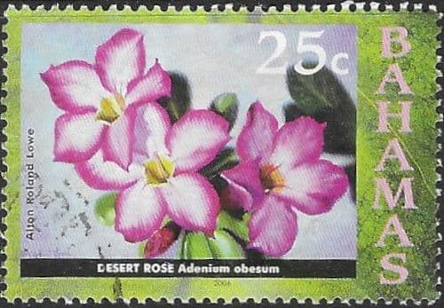 Bahamas 2006 Flowers of the Bahamas. Paintings by Alton Roland Lowe SG 1427 Fine Used