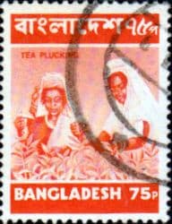 Bangladesh 1973 Tea Picking SG 30 Fine Used
