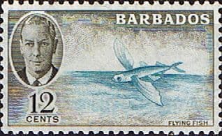 Barbados 1950 SG 277 Flying Fish Fine Mint