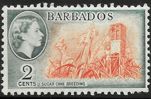 Barbados 1953 QE II SG 290 Sugar Cane Breeding Fine Mint