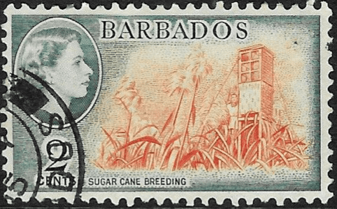 Barbados 1953 QE II SG 290 Sugar Cane Breeding Fine Used