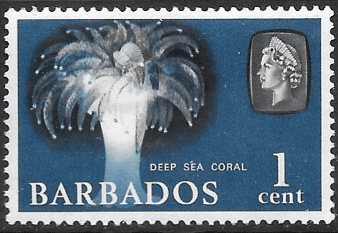 Barbados 1965 QE II SG 322 Marine Life Deep Sea Coral Fine Mint